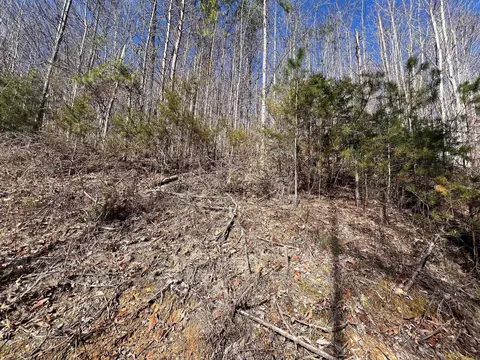 0 Jericho Rd, Dunlap, TN 37327 photo 7