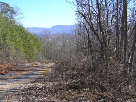 0 Jericho Rd, Dunlap, TN 37327 photo 21