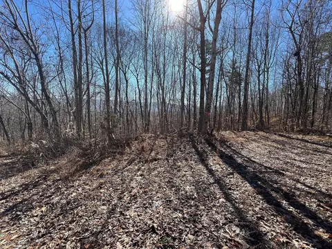 0 Jericho Rd, Dunlap, TN 37327 photo 4