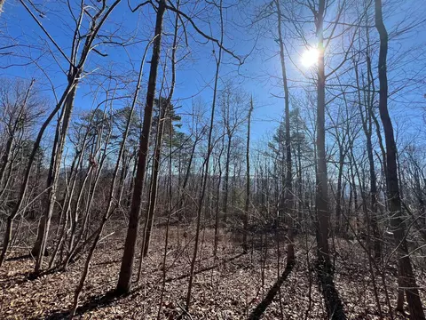 0 Jericho Rd, Dunlap, TN 37327 photo 8