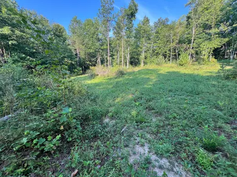 493 Bear Wallow Rd, Dunlap, TN 37327