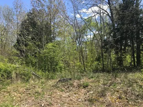 0 Mcfall Rd, Palmyra, TN 37142 photo 2
