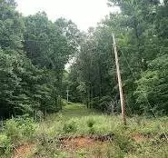 200 Greasy Cove Rd, Cosby, TN 37722