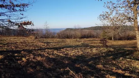 163 E Raven Crest Trl, Graysville, TN 37338