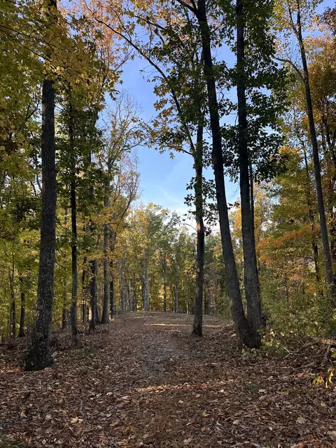 0 Foggy Mountain Rd, Bradyville, TN 37026
