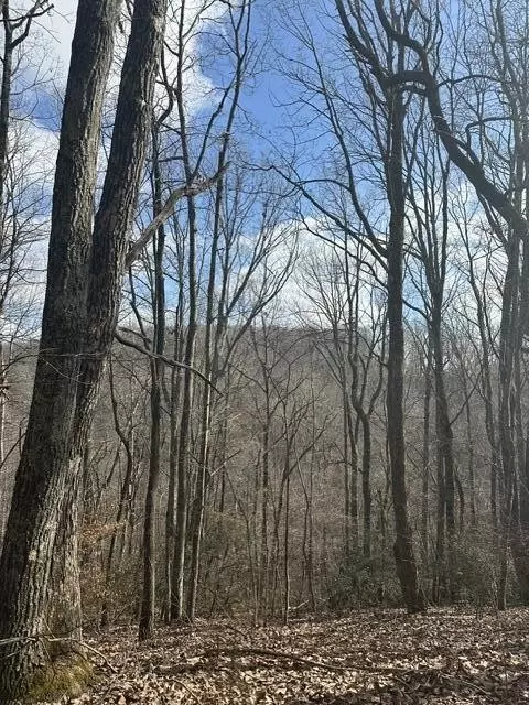 1257 State Hwy 111, Spencer, TN 38585