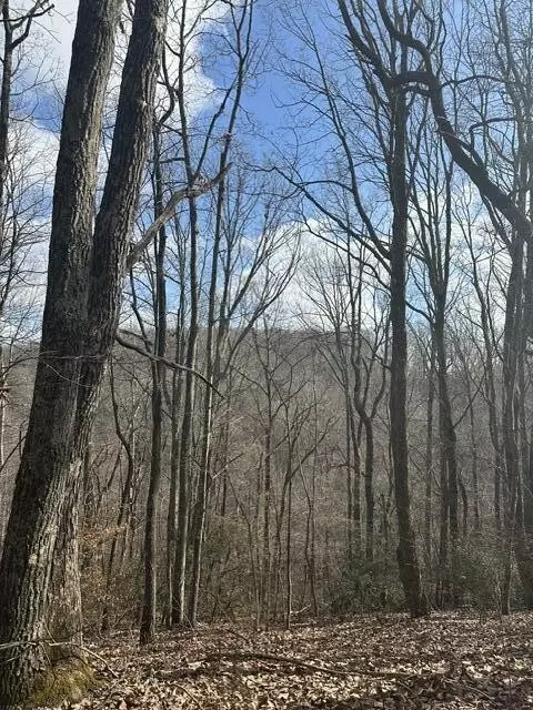 1257 State Hwy 111, Spencer, TN 38585