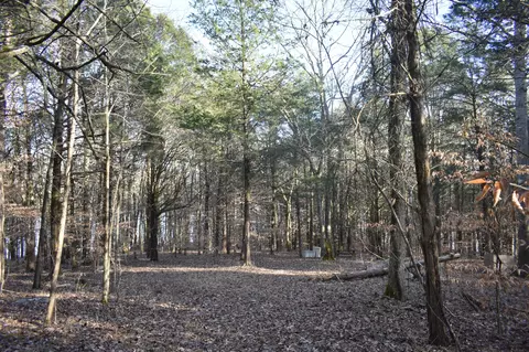 0 E Brooks Bend Ln, Gainesboro, TN 38562
