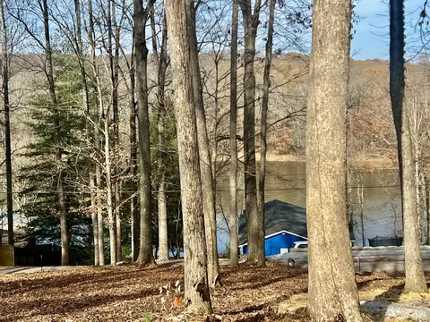 559 Hickman Shores Rd, Dover, TN 37058