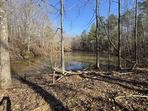 0 Ditney Rdg, Bumpus Mills, TN 37028