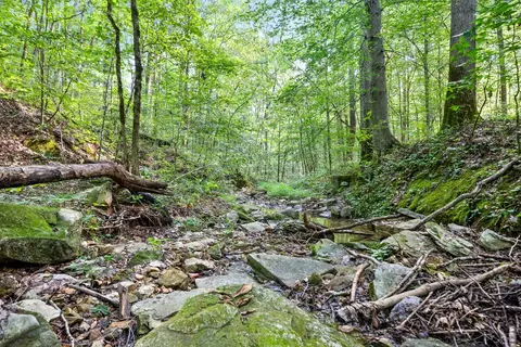 1 Highway 13, Cumberland Furnace, TN 37051