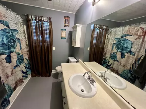 Bath - 518 Littrell Rd, Loretto, TN 38469 photo 3 of 3