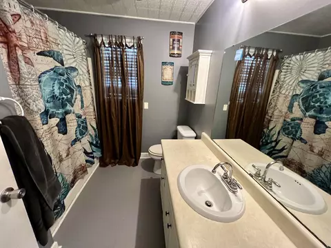 Bath - 518 Littrell Rd, Loretto, TN 38469 photo 1 of 3