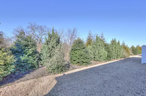 2048 Alysheba Run, Murfreesboro, TN 37128 photo 25
