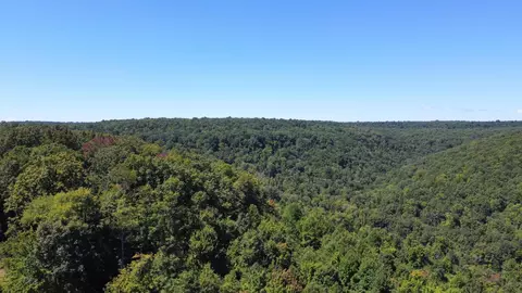 0 Daus Rd, Dunlap, TN 37327 photo 5