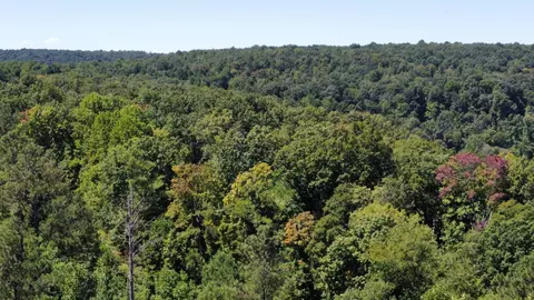 0 Daus Rd, Dunlap, TN 37327 photo 10