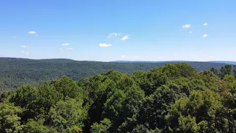 0 Daus Rd, Dunlap, TN 37327 photo 19