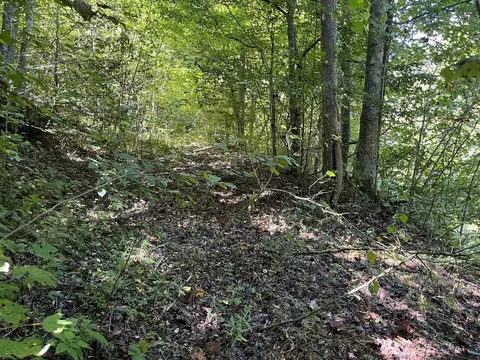 0 Daus Rd, Dunlap, TN 37327 photo 14