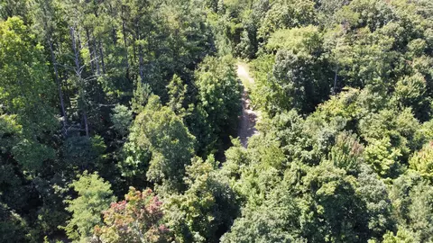 0 Daus Rd, Dunlap, TN 37327 photo 6