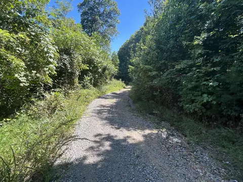 0 Daus Rd, Dunlap, TN 37327 photo 12