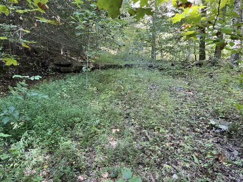 0 Daus Rd, Dunlap, TN 37327 photo 13
