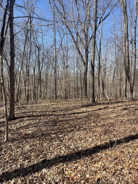 165 Pleasant Hill Rd, Lafayette, TN 37083