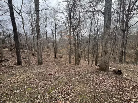 3005 Patsy Ln, Palmyra, TN 37142 photo 20