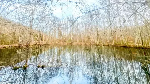 0 Johnson Mill Branch Rd, Lutts, TN 38471