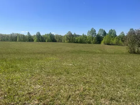 5 Clark Ln, Pikeville, TN 37367