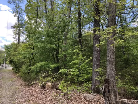 181 Valley Brook Rd, Dunlap, TN 37327 photo 5