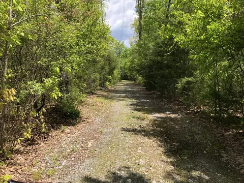 181 Valley Brook Rd, Dunlap, TN 37327 photo 3