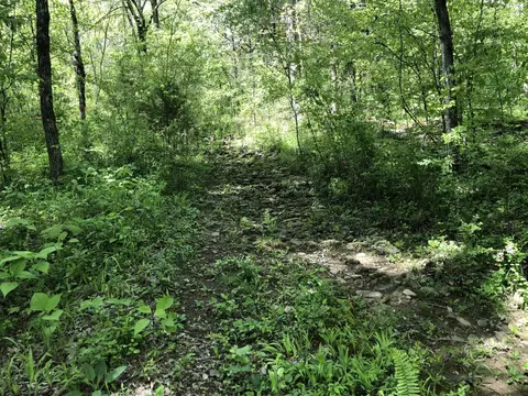181 Valley Brook Rd, Dunlap, TN 37327 photo 8