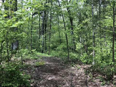 181 Valley Brook Rd, Dunlap, TN 37327 photo 7