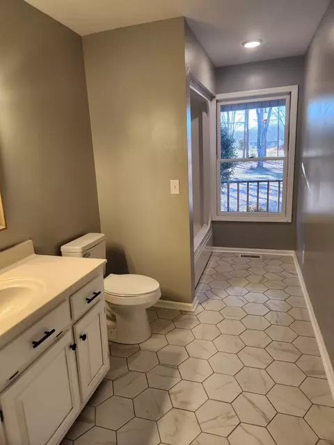 Bath - 161 Beth Dr, Goodspring, TN 38460 photo 6 of 8
