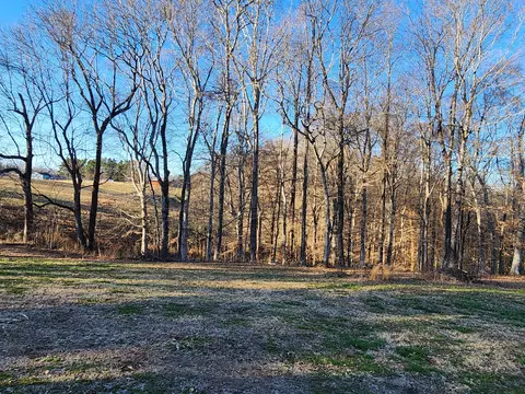 Exterior - 161 Beth Dr, Goodspring, TN 38460 photo 10 of 12