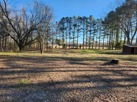 Exterior - 161 Beth Dr, Goodspring, TN 38460 photo 12 of 12