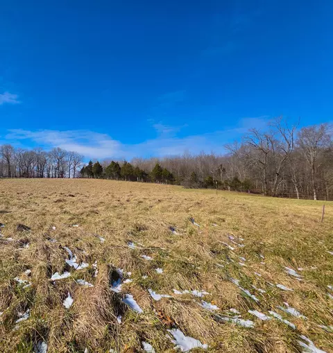 0 Myatt Loop, Burns, TN 37029 photo 4