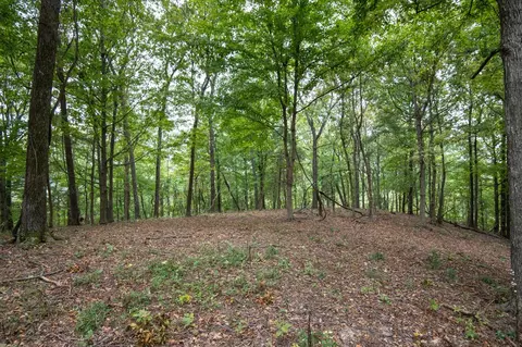 0 Bursby Branch Rd, Gallatin, TN 37066