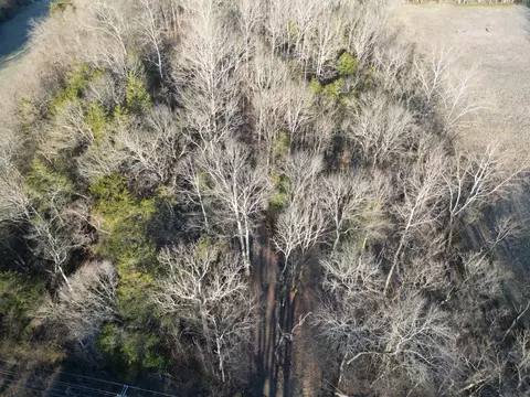 0 Lobelville Hwy, Linden, TN 37096