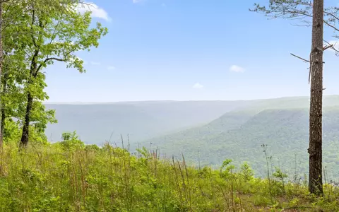 1251 Mullins Pt, Guild, TN 37340 photo 3
