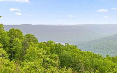 1251 Mullins Pt, Guild, TN 37340 photo 8