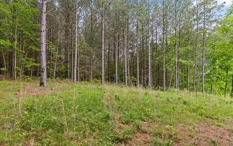 1251 Mullins Pt, Guild, TN 37340 photo 20