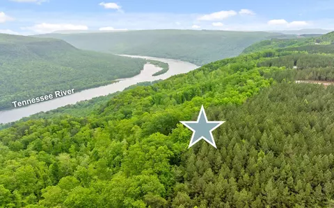 1251 Mullins Pt, Guild, TN 37340 photo 9
