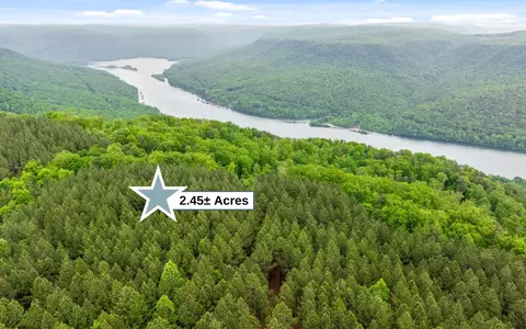 1251 Mullins Pt, Guild, TN 37340 photo 11