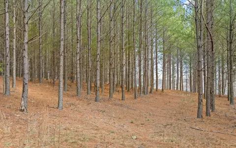 1251 Mullins Pt, Guild, TN 37340 photo 18