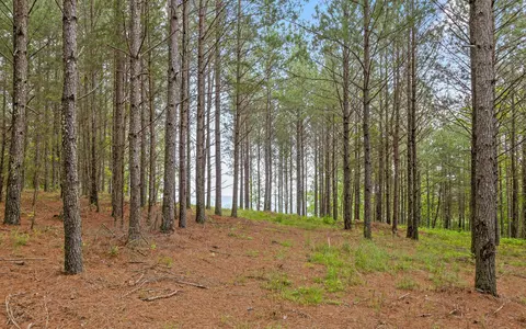 1251 Mullins Pt, Guild, TN 37340 photo 19
