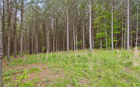 1251 Mullins Pt, Guild, TN 37340 photo 21