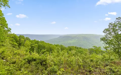 1251 Mullins Pt, Guild, TN 37340 photo 17