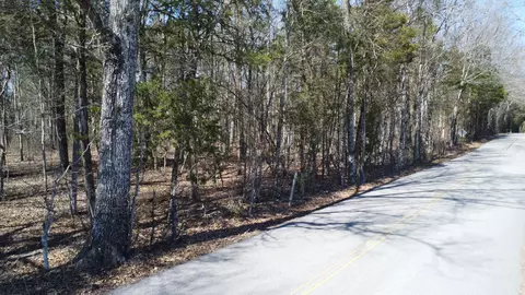0 Canoe Branch Rd, Castalian Springs, TN 37031