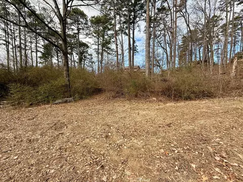 141 Larry Dr, Ringgold, GA 30736 photo 32